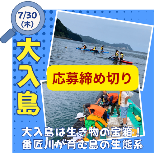 大入島